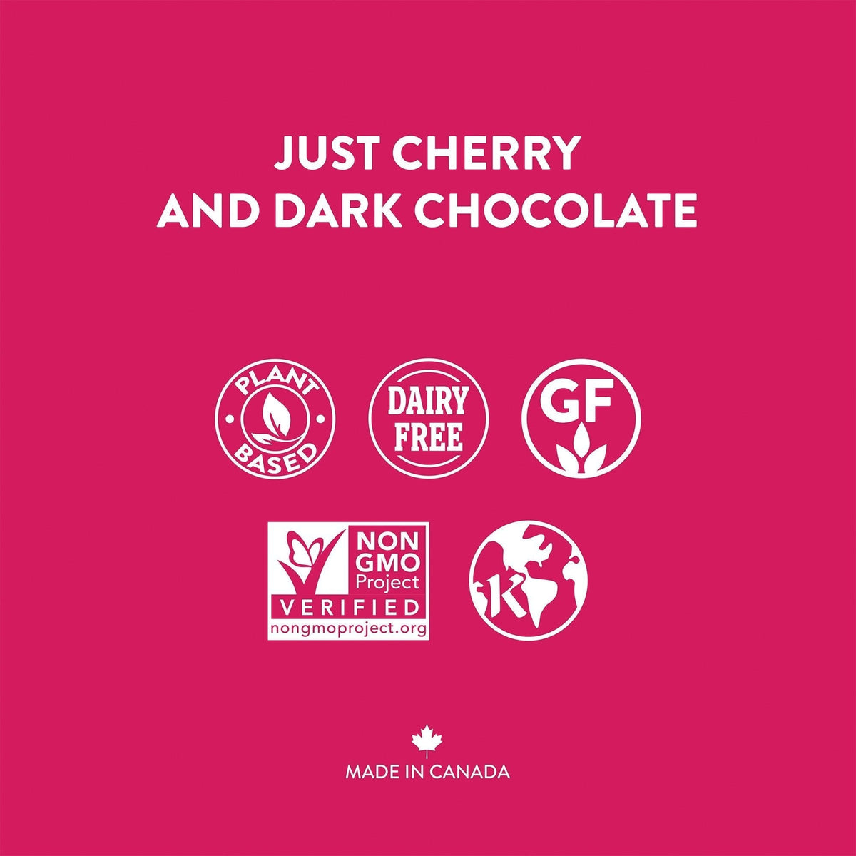 Cherry Dark Chocolate Superfoods Single Serve